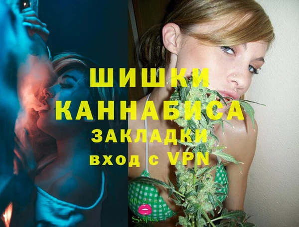 СК Верхний Тагил