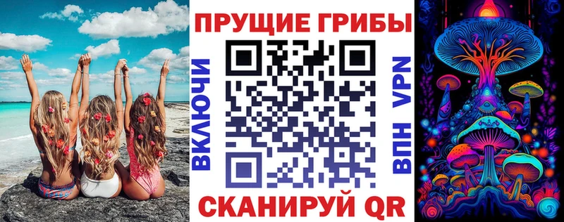где купить наркоту  Карасук  Галлюциногенные грибы прущие грибы 